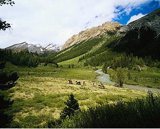 射击游戏市场开卷，又冒出来一款国产射击游戏？