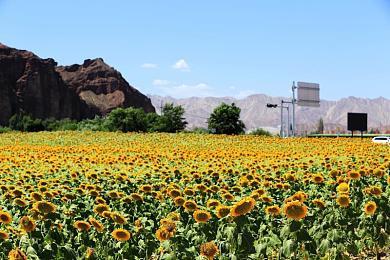 《明日方舟：终末地》发布新海报 疑似将有新消息